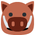Boar