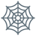 Spider Web