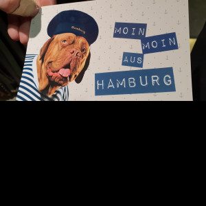 Profilbild von Peter6161