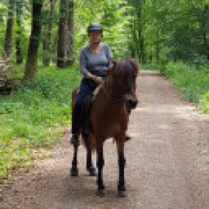 Profile photo of summit58