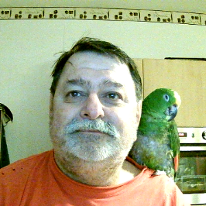 Profilbild von schuetze02