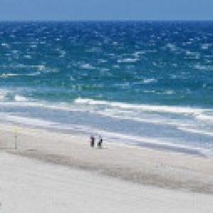 Profile photo of MaxJahn47