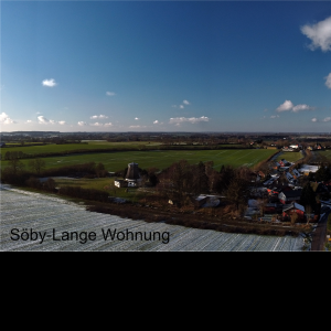 Profile photo of Gifo