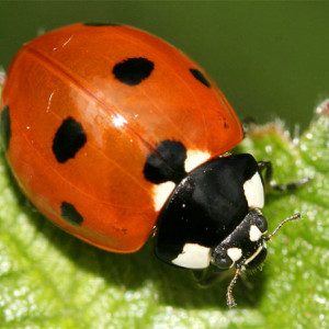 Profile photo of gabi75