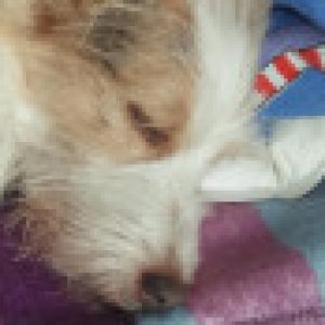 Profile photo of Razielle