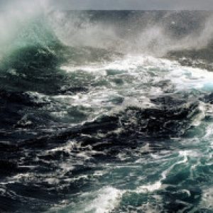 Profilbild von Mtownie