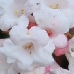 Profilbild von Mocca7244