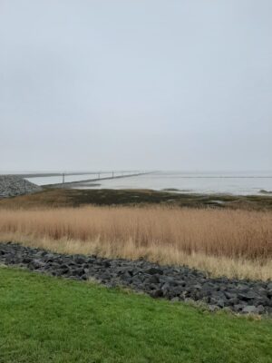 IMG-20201212-WA0002