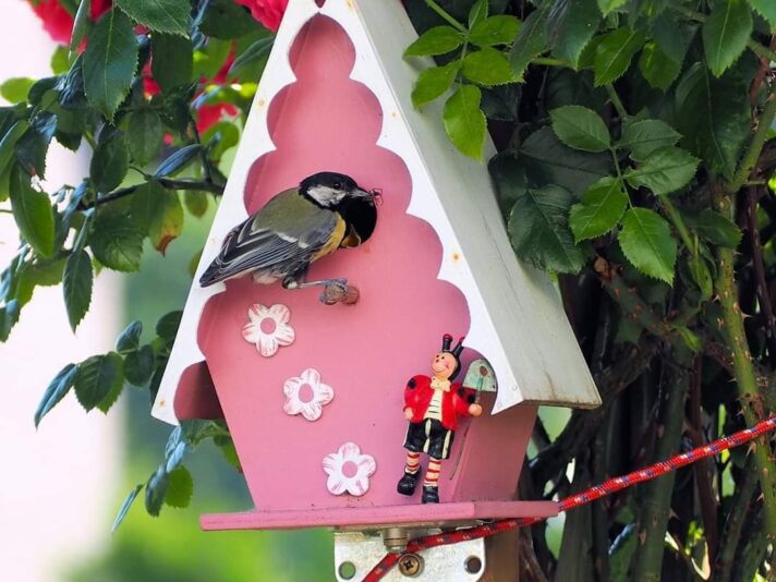 FB_IMG_1594658738011