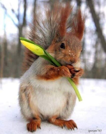 149298772_1163970474057257_4880299813764811845_n