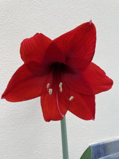 CD974930-EB17-4C77-BECC-26696B63B6A8