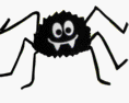 Spinne alle Beine und Augen in Bewegung