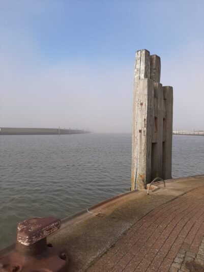 IMG-20210303-WA0000