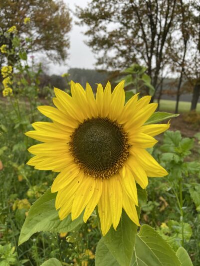 3ACC21BB-30A7-47B5-B705-4FE44C63533F