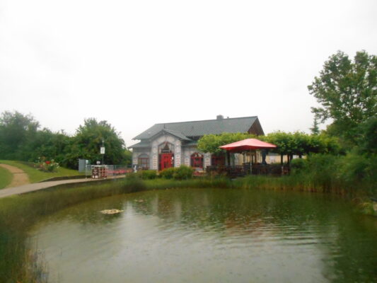 DSCN1317 (1)