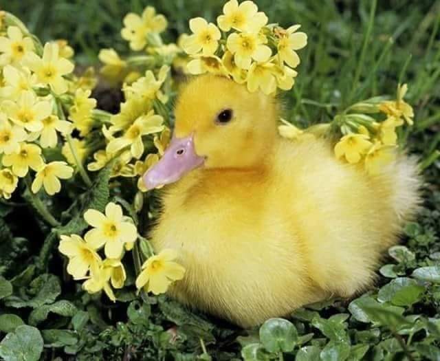 276094528_1428398340947801_7076936335738090747_n