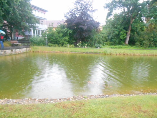 DSCN1316 (1)