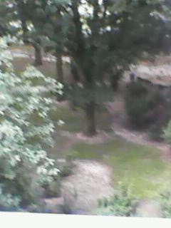 IMG0008A