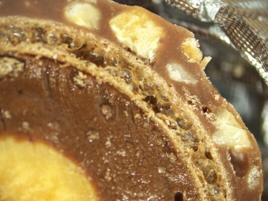 resized_230312181953c