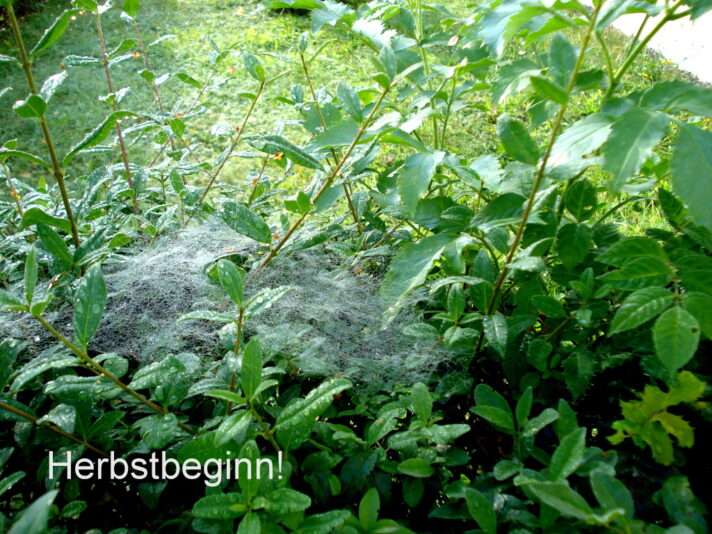 Herbstbeginn!