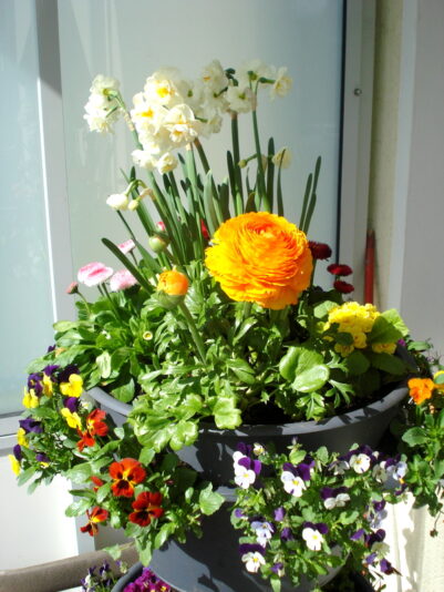 DSC05217