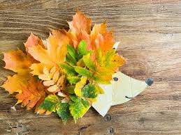images (76)