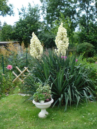 DSC04791