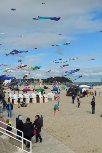 Screenshot_20241003_201058_Gallery