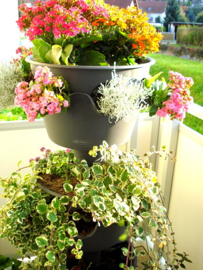DSC03505