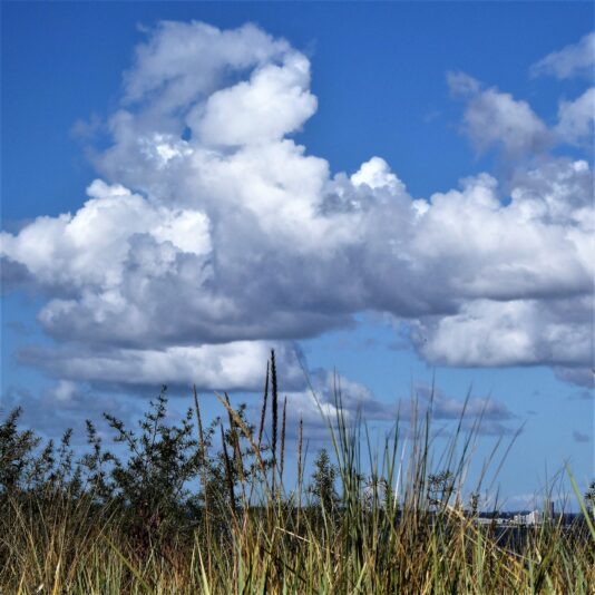 2022-09-20 Niendorf (21)