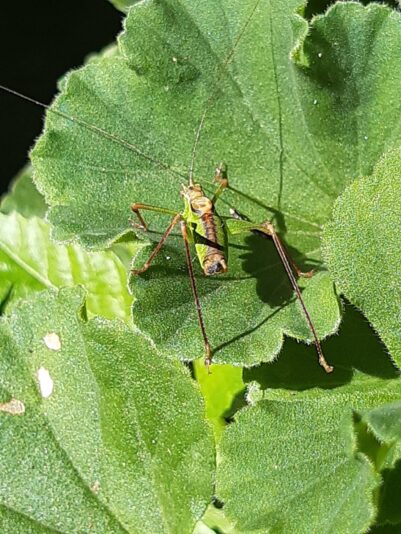 5E9A9511-33CF-4514-B869-9DE65F5D9113