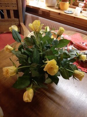 IMG-20210111-WA0002