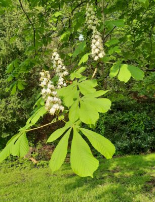 20210512_181114-edit-20220426194538