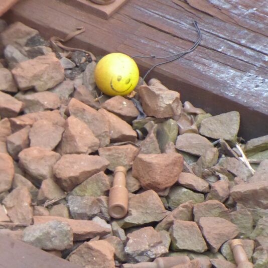 2022-07-28 auf Schienen (1)