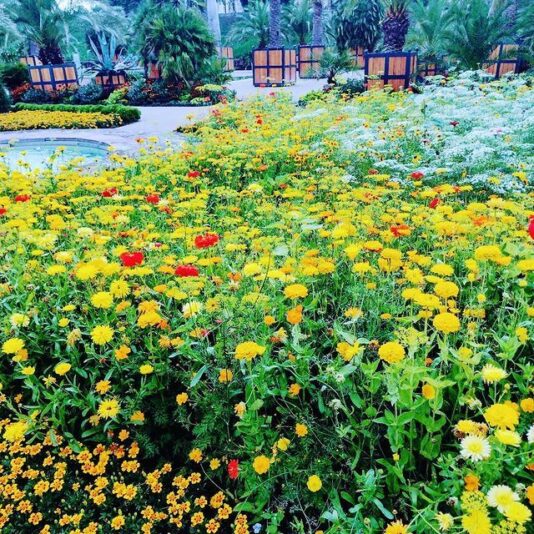 3ppuydEkF_R9g4vikQph7iKr3IZcetylrHaGQzQhD-sKkGtJeHK16cPsvnZOKwuo