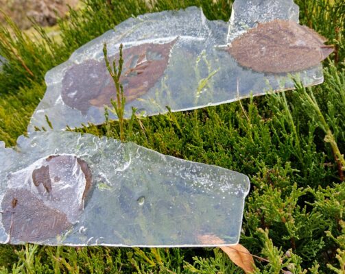 IMG_20220121_131331776_HDR