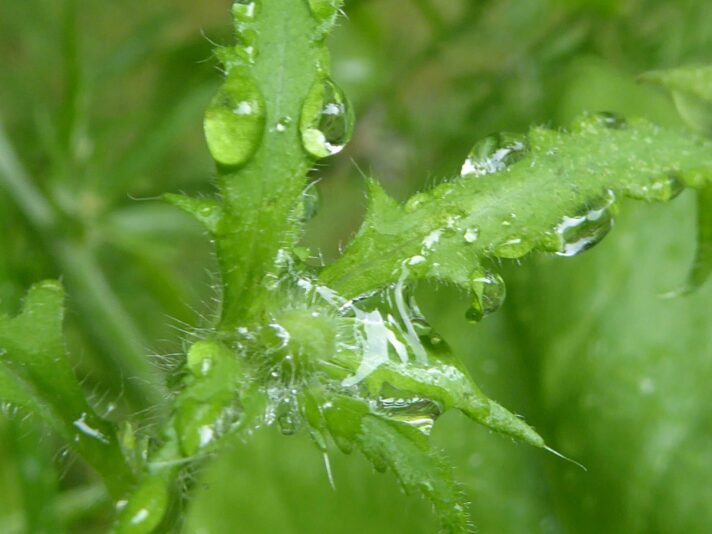 20.8.2022 Samstag (19)