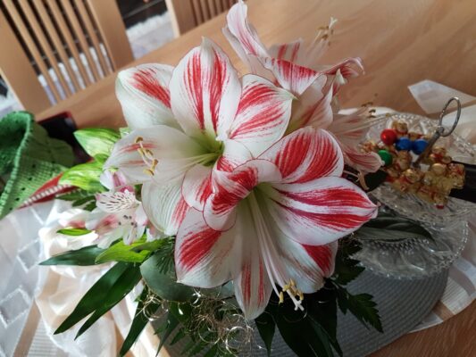 IMG-20201229-WA0000