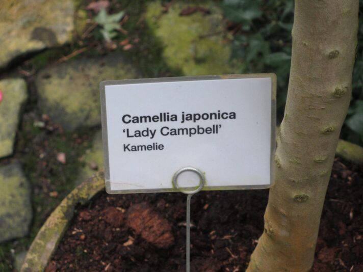 IMG_0034 - Kopie (2)