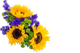 images (12)