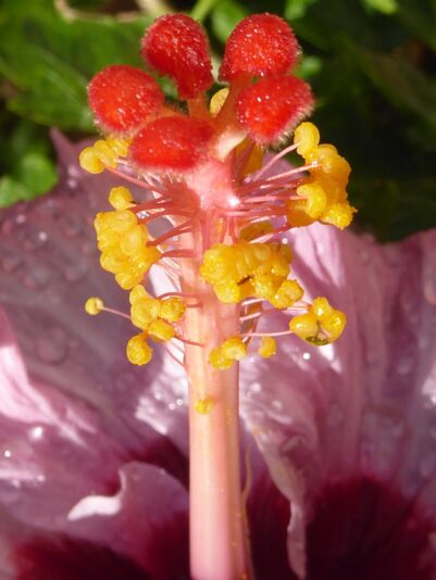 1.12.2021 auf der Blumeninsel Madera (10)