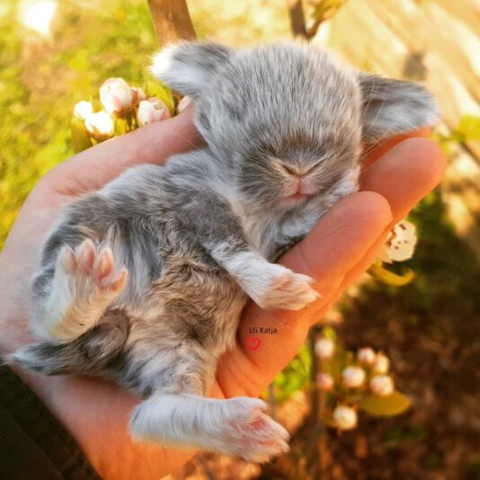 163017294_3833485486730058_7303013783937269308_o (1)