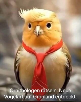 vogel Trump