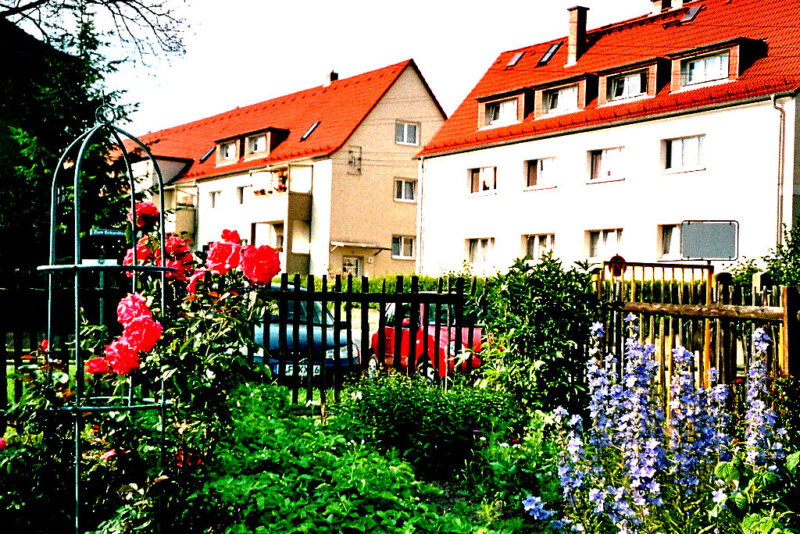 Noch blüht es.