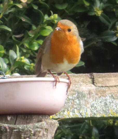 20240304110640_IMG_9041