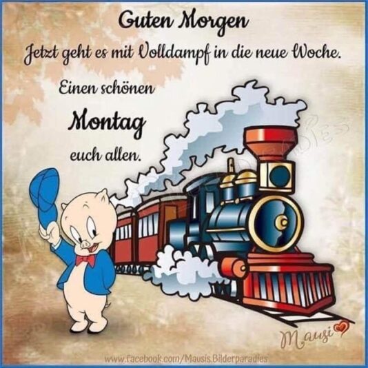 1e272be589ffa5318b7cd838af6f12b6