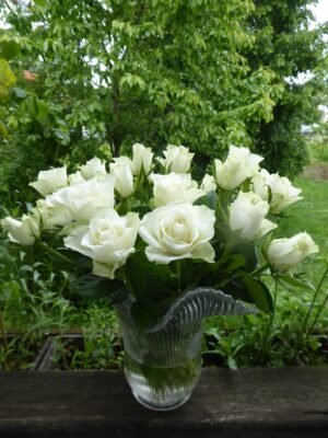 12.5.2020 Kalte Sofie (79)