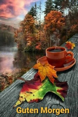 82f5003f5eb86baa4975ba1182dd784a