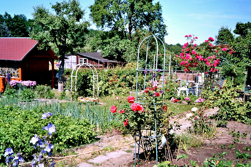 Heißer Sommer 2005