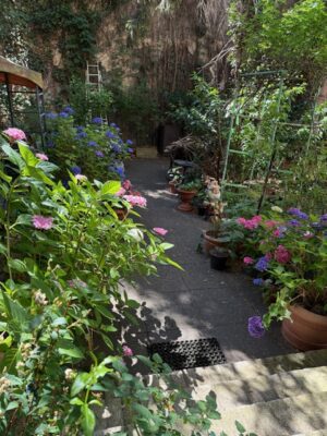 IMG_8359.jpg 30.06. 25